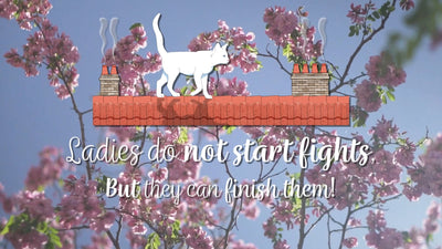 Quote Text Animated Cat Rooftop Title Intro