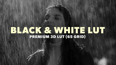 B&W LUT 05