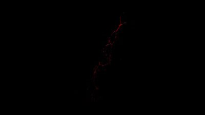 Realistic Blood Splatter Side 03