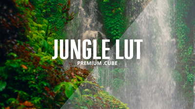 Premium .Cube Jungle LUT