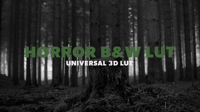 Horror B&W LUT