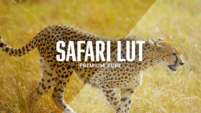 Premium .Cube Safari LUT