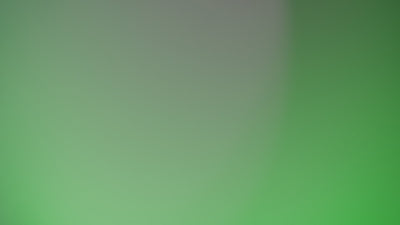 Lens Leak Still Frame Fashion Overlay 05