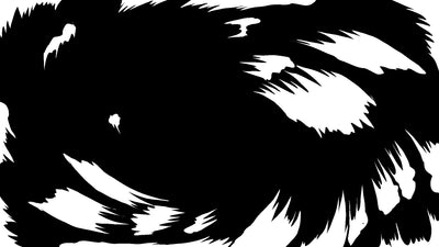 Explosion Hand Drawn Animated Transition Flow Smoke 04