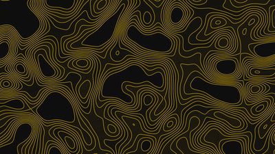 Fancy Elegant Lines Waved Tint Animated Background