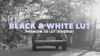 B&W LUT 04