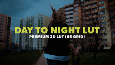 Day To Night LUT