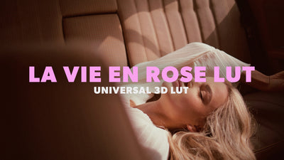 Universal LUT - La Vie En Rose Overlay