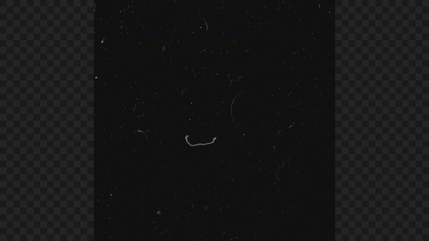 Seamless Dust and Hairs Real Texture Grunge 01