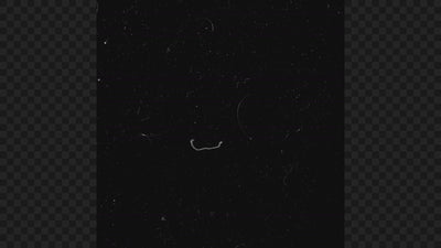 Seamless Dust and Hairs Real Texture Grunge 01