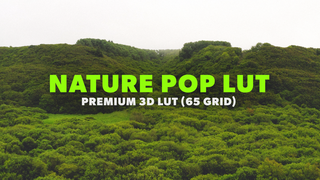 Nature LUT 05