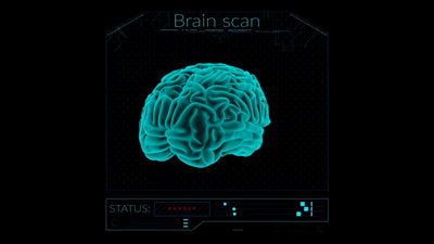 Hollywood HUD Brain Hologram