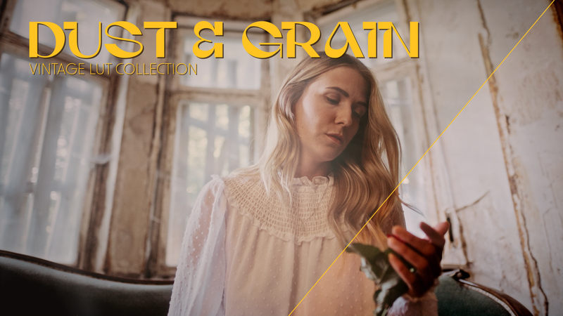 Vintage LUT Collection Dust And Grain