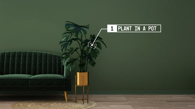 Callout Pop Up Modern Title Overlay Element 05