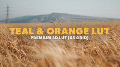 Teal And Orange LUT 01