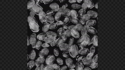 Seamless Fingerprints Real Texture Grunge 01