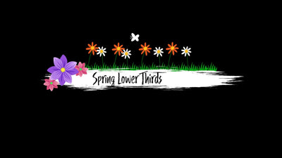 Animated Scribble Lower Third Spring Flower