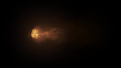 Gun Muzzle Flash Fire Arm Shotgun 01