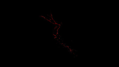 Realistic Blood Splatter Side 10