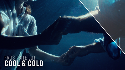 Cool and Cold Frost Bite LUT