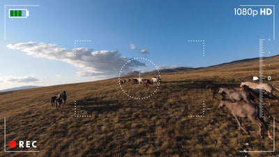 Camera Ovelay Raw Footage Recording Cam View 04