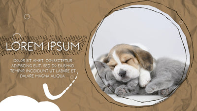Clean Modern Fun Shapes Liquid Playful Transition Slideshow 04