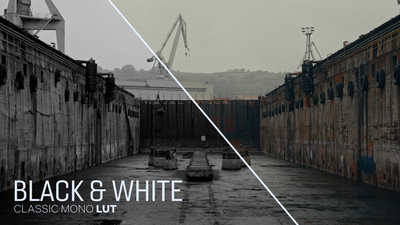 Black and White Classic Mono LUT