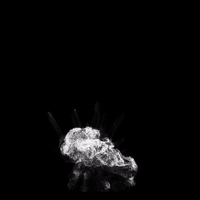 Magic Spell Energy Spells 09 Black & White