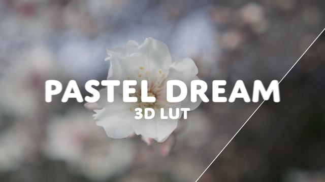 3D LUT Pastel Dream