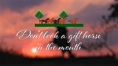 Quote Text Animated Horse Theme Title Intro