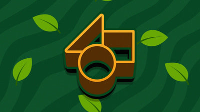 Jungle Leaf Wild Vector Green Nature Logo Reveal