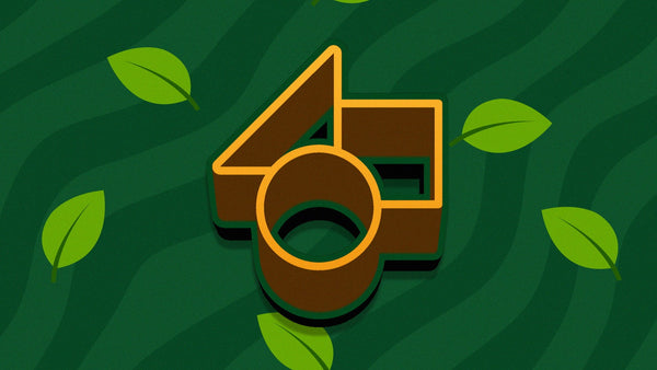 Jungle Leaf Wild Vector Green Nature Logo Reveal
