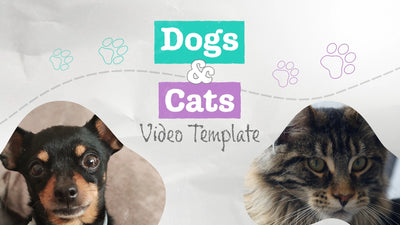 Animal Cat And Dog Pet Cute Paw Intro Opener Template