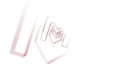 Modern Echo Duplication Outline Zoom Out Logo Reveal