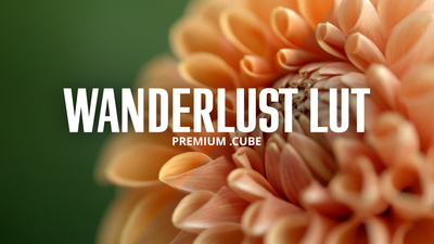 Premium .Cube Wanderlust LUT