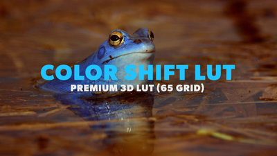 Color Shift LUT 02