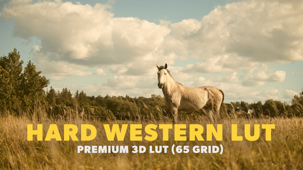 Western LUT 05