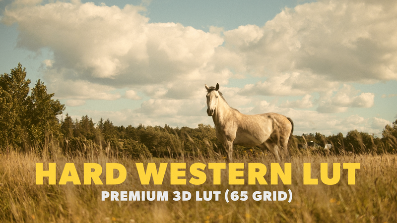 Western LUT 05