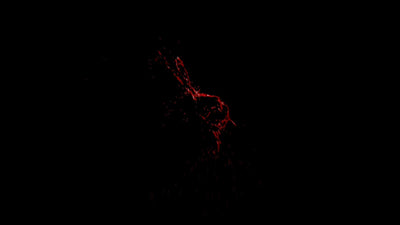 Realistic Blood Splatter Front 01