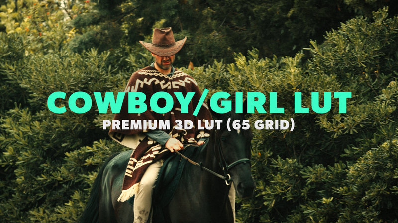 Western LUT 08