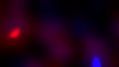 Police Movie Red & Blue Background