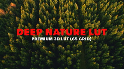 Nature LUT 08