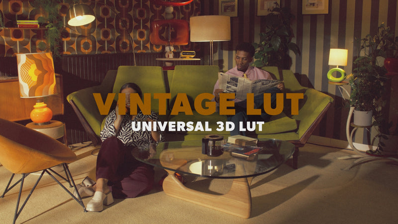 Universal LUT - Vintage Overlay