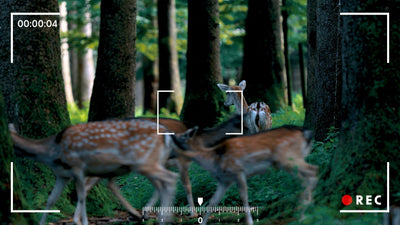 Camera Ovelay Raw Footage Recording Cam View 01