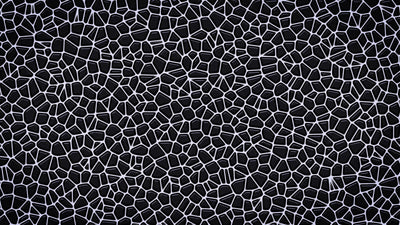 Cell Mosaic Black White Animated Background