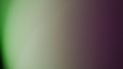 Lens Leak Still Frame Fashion Overlay 02