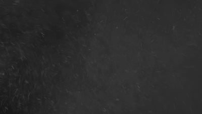 Floating Dust Particles 14
